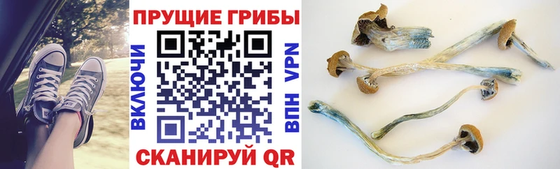 Галлюциногенные грибы Magic Shrooms  Свободный 